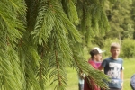 IMG_8291-min