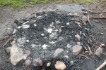 image009
