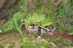 image014