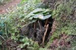 image016