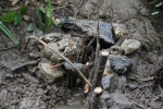 image023