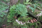 image024