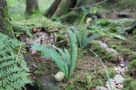 image025