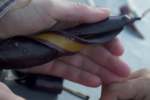 IMG_7699-min