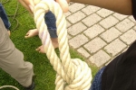 PIC01564