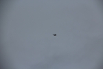 IMG_7037-min