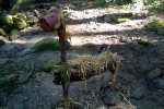 imag003