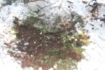 image034