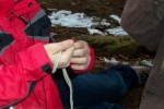 PIC01376