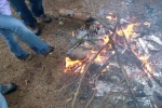 PIC01384