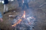 PIC01385