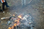 PIC01386