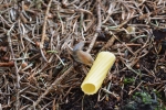 image020