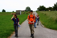 UFLA 2011