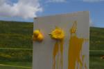 IMG_0179-min
