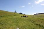 IMG_9990-min
