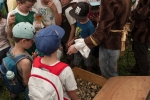 image182